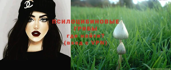 ALPHA PVP Алексин