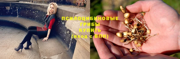 MESCALINE Алзамай